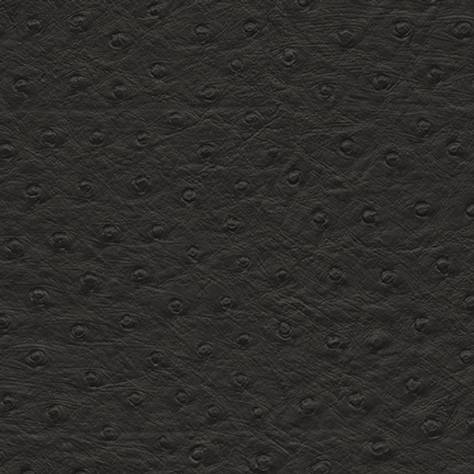 Twitter-Nj # 291 Jet by Maxwell Fabric MEMOS ONLY-COATED FABRICS FACE: 100% PVC
BACKING: 65% POLYESTER
35% COTTON KOREA 54" - Fabric Carolina -