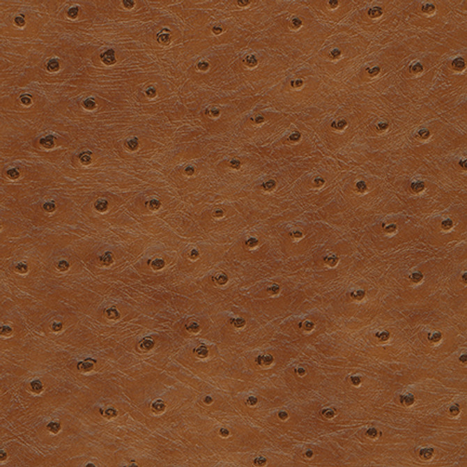 Twitter-Nj # 300 Ginger by Maxwell Fabric Memos Only-Coated Fabrics FACE: 100% PVC
BACKING: 65% POLYESTER
35% COTTON KOREA 54" - Fabric Carolina - Twitter-Nj # 300 Ginger by Maxwell Fabric Memos Only-Coated Fabrics FACE: 100% PVC
BACKING: 65% POLYESTER
35% COTTON KOREA 54" - Fabric Carolina -