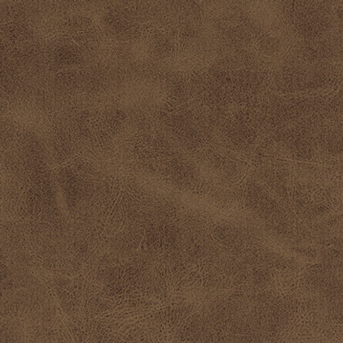 Bonifacio-Nj 432 Bison by Maxwell Fabric MEMOS ONLY-COATED FABRICS FACE: 100% POLYURETHANE CHINA   54"  - Fabric Carolina -