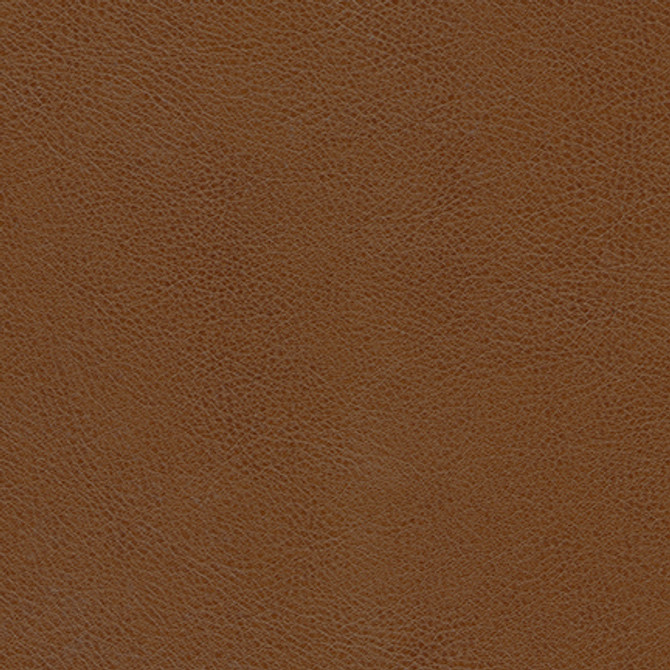 Leon-Nj # 326 Milk Chocolate by Maxwell Fabric MEMOS ONLY-COATED FABRICS FACE: 100% POLYURETHANE
BACKING: 65% POLYESTER
35% COTTON CHINA 54" - Fabric Carolina -