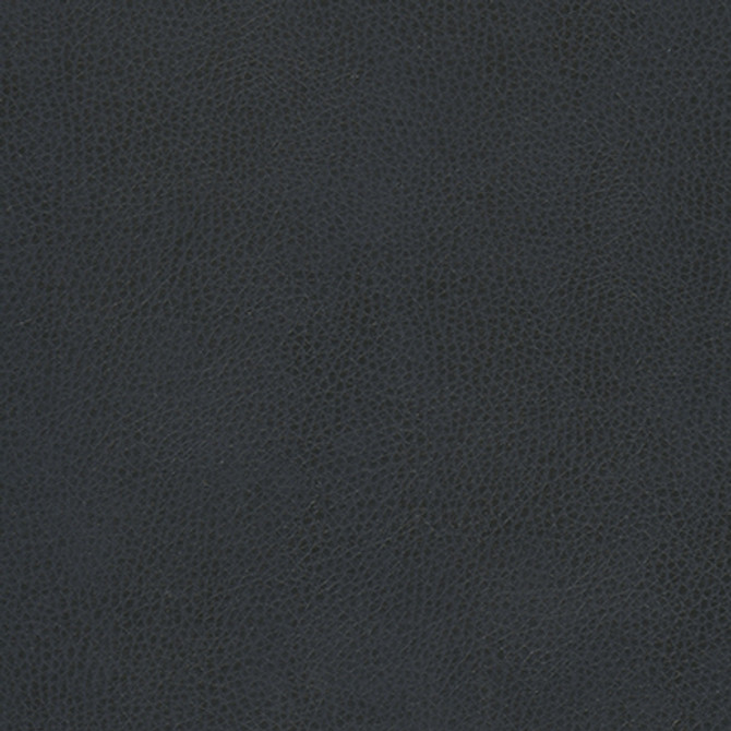 Hermitage-Nj 1314 Whale by Maxwell Fabric MEMOS ONLY-COATED FABRICS FACE: 100% POLYURETHANE KOREA   54"  - Fabric Carolina -