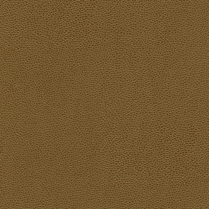 Rambutan-Nj # 768 Cuba by Maxwell Fabric Memos Only-Coated Fabrics FACE: 100% POLYURETHANE
BACKING: 100% POLYESTER KOREA 54" - Fabric Carolina -