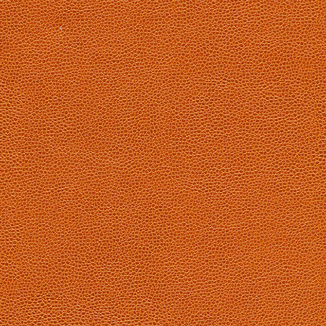 Rambutan-Nj 769 Tangerine by Maxwell Fabric MEMOS ONLY-COATED FABRICS FACE: 100% POLYURETHANE KOREA   54"  - Fabric Carolina -