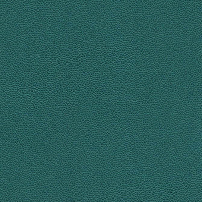 Rambutan-Nj # 773 Quay by Maxwell Fabric MEMOS ONLY-COATED FABRICS FACE: 100% POLYURETHANE
BACKING: 100% POLYESTER KOREA 54" - Fabric Carolina -