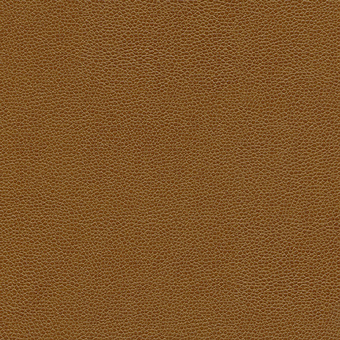 Rambutan-Nj # 776 Maple by Maxwell Fabric MEMOS ONLY-COATED FABRICS FACE: 100% POLYURETHANE
BACKING: 100% POLYESTER KOREA 54" - Fabric Carolina - Rambutan-Nj # 776 Maple by Maxwell Fabric MEMOS ONLY-COATED FABRICS FACE: 100% POLYURETHANE
BACKING: 100% POLYESTER KOREA 54" - Fabric Carolina -