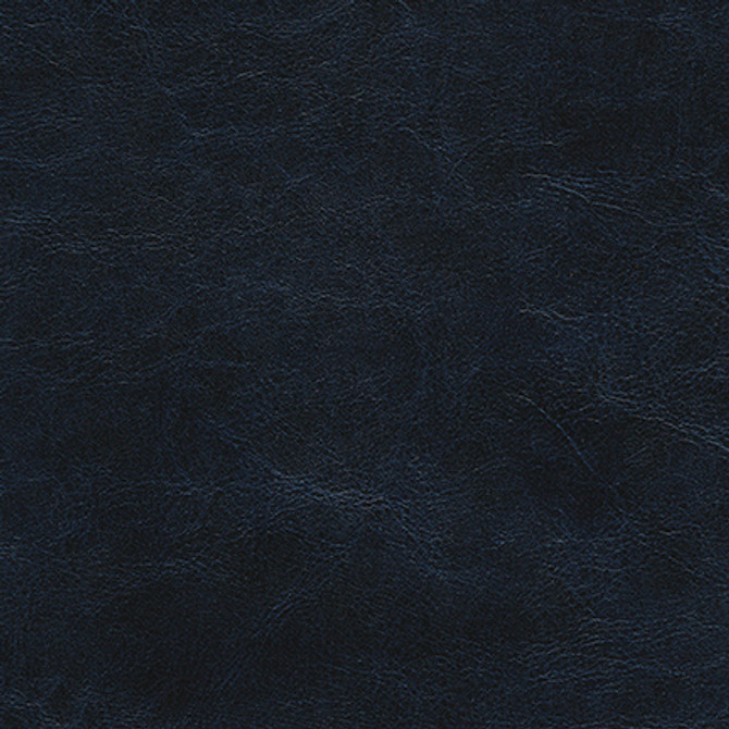Rhone-Nj # 981 Navy by Maxwell Fabric Memos Only-Coated Fabrics FACE: 100% POLYURETHANE
BACKING: 100% POLYESTER KOREA 54" - Fabric Carolina -