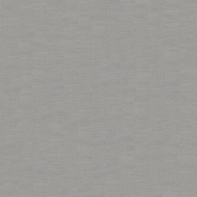 Giorgio 138 Mouse by Maxwell Fabric WIDE WIDTH BASICS II 100% RECYCLED POLYESTER INDIA   118"  - Fabric Carolina -