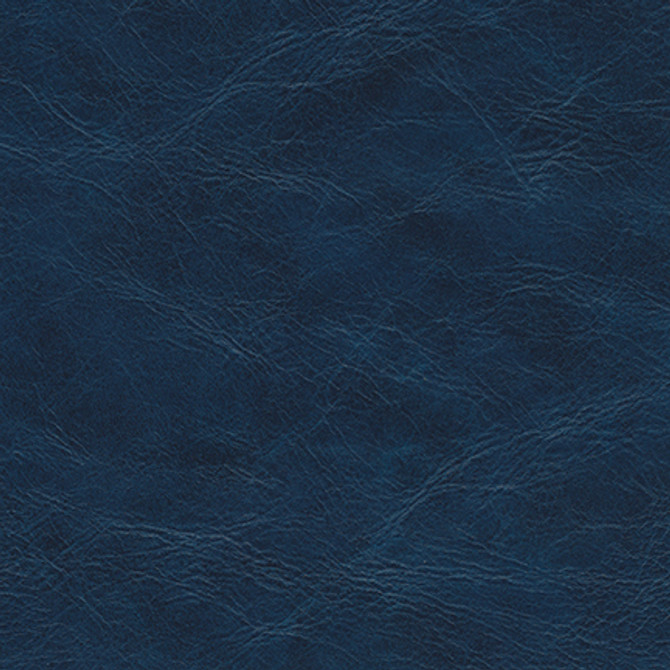 Linz-Nj 248 Admiral by Maxwell Fabric MEMOS ONLY-COATED FABRICS FACE: 100% POLYURETHANE KOREA   54"  - Fabric Carolina -