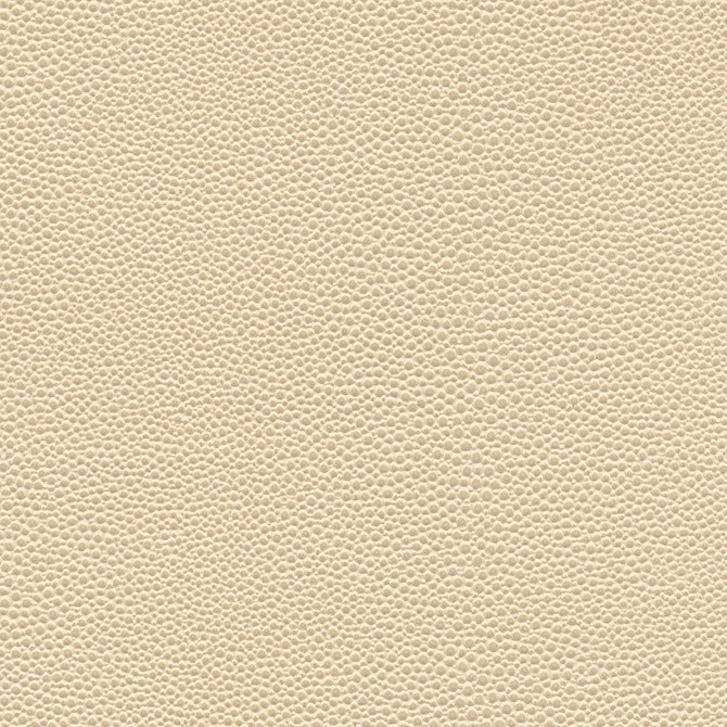 Stingray-Nj # 1067 Seashell by Maxwell Fabric Memos Only-Coated Fabrics FACE: 100% PVC
BACKING: 65% POLYESTER
35% COTTON KOREA 54" - Fabric Carolina -