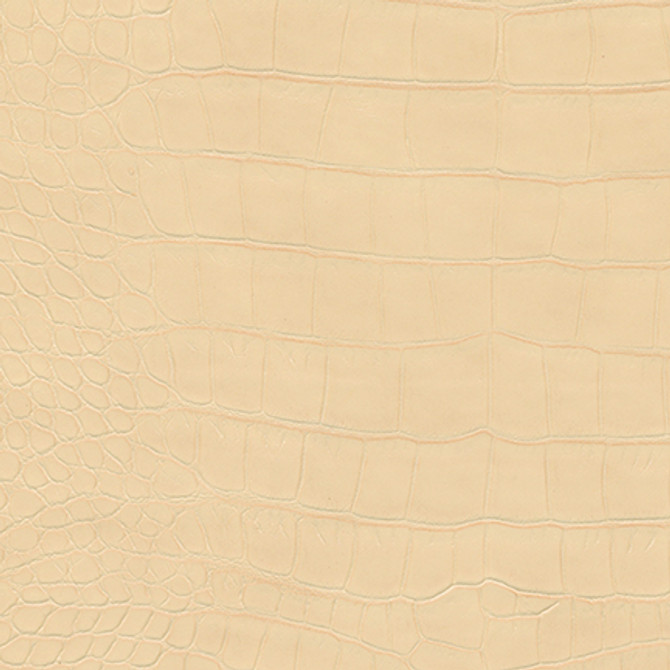 Flotilla-Nj # 454 Milk by Maxwell Fabric MEMOS ONLY-COATED FABRICS FACE: 100% PVC
BACKING: 65% POLYESTER
35% COTTON KOREA V-9.7" H-9.4" 54" - Fabric Carolina -