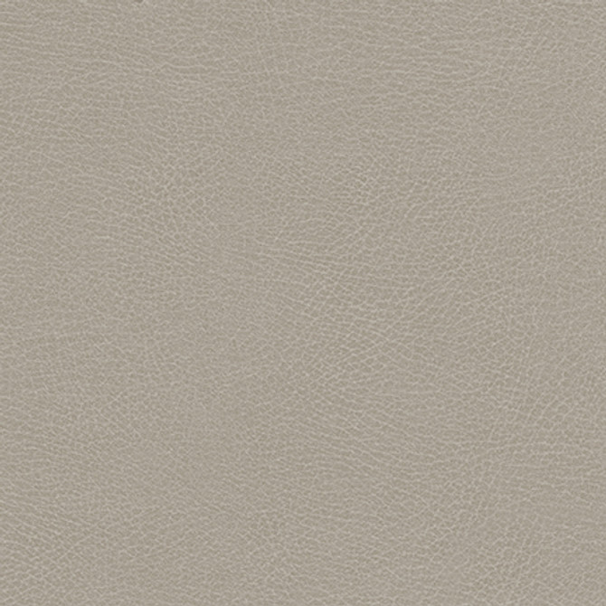 Rugged-Nj 505 Greige by Maxwell Fabric MEMOS ONLY-COATED FABRICS FACE: 100% POLYURETHANE KOREA   54"  - Fabric Carolina -