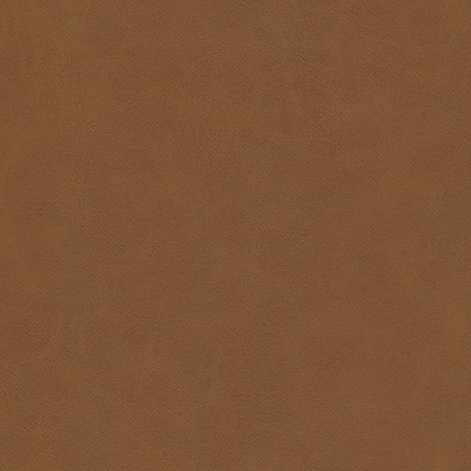 Boyden-Nj # 927 Sycamore by Maxwell Fabric Memos Only-Coated Fabrics FACE: 100% PVC
BACKING: 100% POLYESTER KOREA 54" - Fabric Carolina -