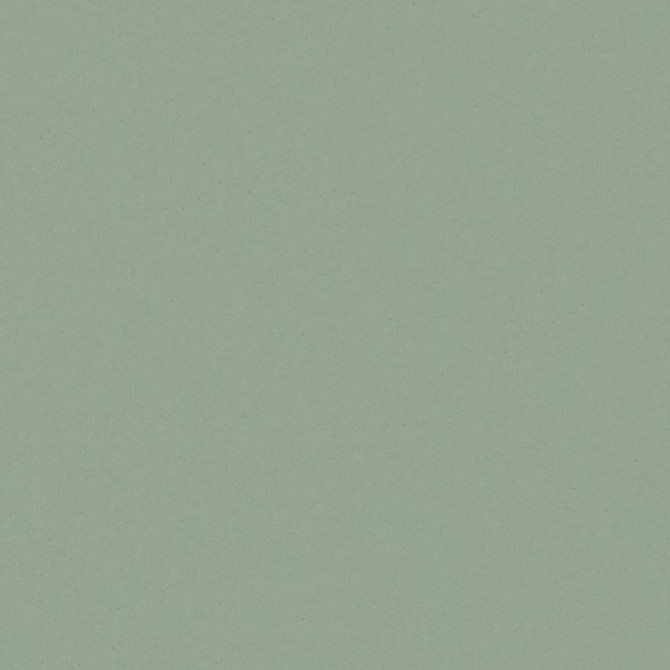 Zaitun # 516 Mineral by Maxwell Fabric Pure & Simple Xvi 100% ORGANIC COTTON INDIA 55" - Fabric Carolina -