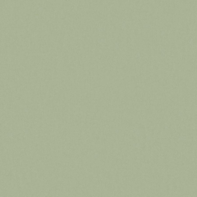 Zaitun # 517 Linden by Maxwell Fabric Pure & Simple Xvi 100% ORGANIC COTTON INDIA 55" - Fabric Carolina -