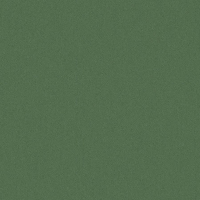 Zaitun # 518 Forest by Maxwell Fabric Pure & Simple Xvi 100% ORGANIC COTTON INDIA 55" - Fabric Carolina -