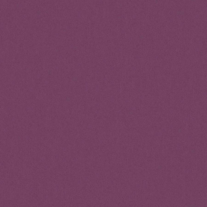 Zaitun # 534 Aubergine by Maxwell Fabric Pure & Simple Xvi 100% ORGANIC COTTON INDIA 55" - Fabric Carolina -