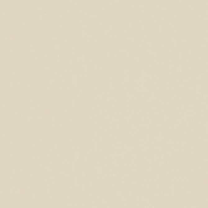 Zaitun # 541 Putty by Maxwell Fabric Pure & Simple Xvi 100% ORGANIC COTTON INDIA 55" - Fabric Carolina -