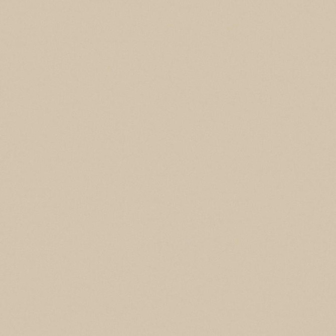 Zaitun # 542 Sand by Maxwell Fabric Pure & Simple Xvi 100% ORGANIC COTTON INDIA 55" - Fabric Carolina -