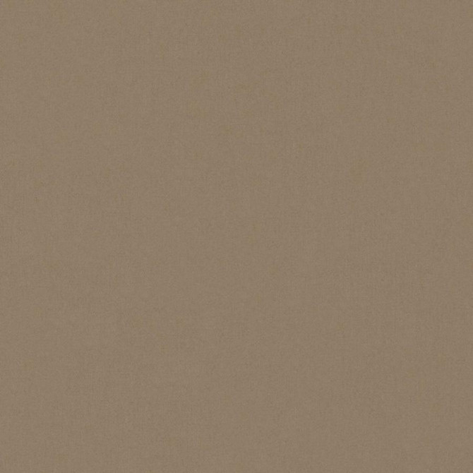 Zaitun # 545 Pinecone by Maxwell Fabric Pure & Simple Xvi 100% ORGANIC COTTON INDIA 55" - Fabric Carolina -