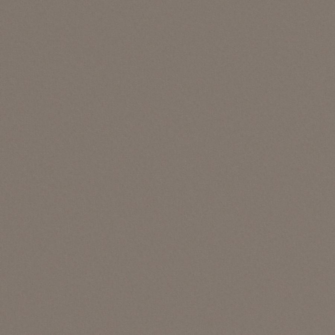 Zaitun # 547 Slate by Maxwell Fabric Pure & Simple Xvi 100% ORGANIC COTTON INDIA 55" - Fabric Carolina -