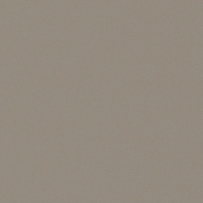 Zaitun # 548 Pewter by Maxwell Fabric Pure & Simple Xvi 100% ORGANIC COTTON INDIA 55" - Fabric Carolina -