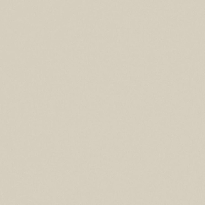 Zaitun # 552 Rattan by Maxwell Fabric Pure & Simple Xvi 100% ORGANIC COTTON INDIA 55" - Fabric Carolina -