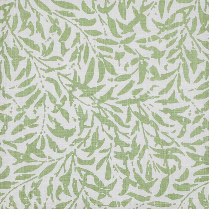 Ingleby # 505 Celery by Maxwell Fabric PRINT GALLERY II 100% COTTON PAKISTAN V-25.3" H-13.5" 54" - Fabric Carolina -