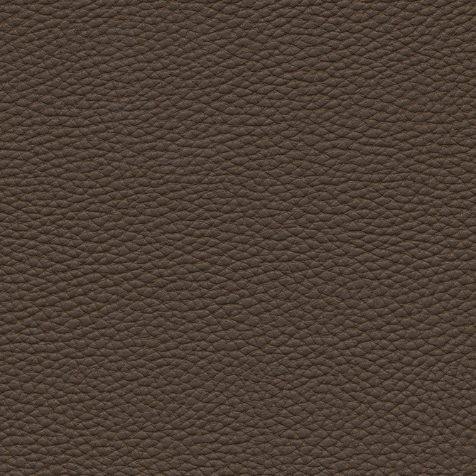 Tebessa-Nj # 143 Twig by Maxwell Fabric Memos Only-Coated Fabrics FACE: 100% PVC
BACKING: 100% POLYESTER VIETNAM 54" - Fabric Carolina -