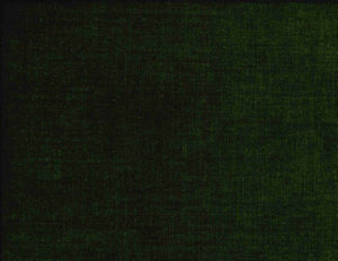 Belmont Basil 390 by Norbar Fabric BELMONT 62% POLYESTER 38% COTTON INDIA 54 - Fabric Carolina -