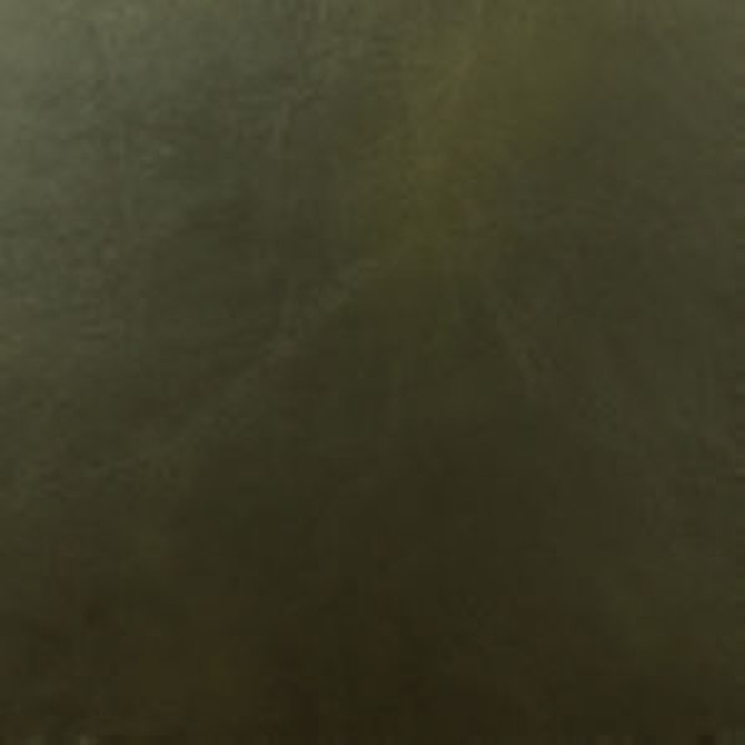 Dakar Forest by Norbar Fabric DAKAR 100% PVC CHINA 54 - Fabric Carolina - Dakar Forest by Norbar Fabric DAKAR 100% PVC CHINA 54 - Fabric Carolina -