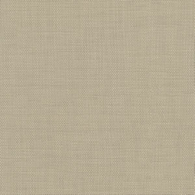 Conway Flaxen by Norbar Fabric FAMOUS 100% COTTON PAKISTAN 54 - Fabric Carolina -