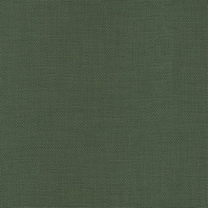 Conway Forest by Norbar Fabric FAMOUS 100% COTTON PAKISTAN 54 - Fabric Carolina -