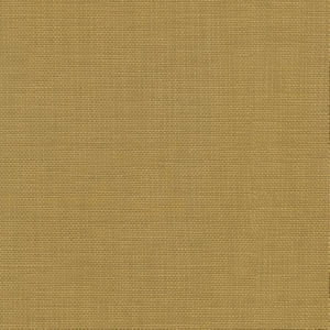 Conway Gold by Norbar Fabric FAMOUS 100% COTTON PAKISTAN 54 - Fabric Carolina -