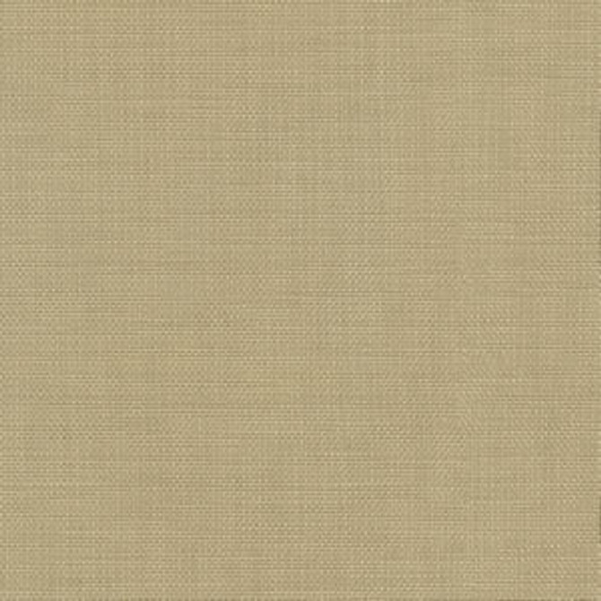 Conway Sesame by Norbar Fabric FAMOUS 100% COTTON PAKISTAN   54  - Fabric Carolina -