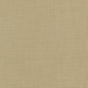 Conway Sesame by Norbar Fabric FAMOUS 100% COTTON PAKISTAN 54 - Fabric Carolina -