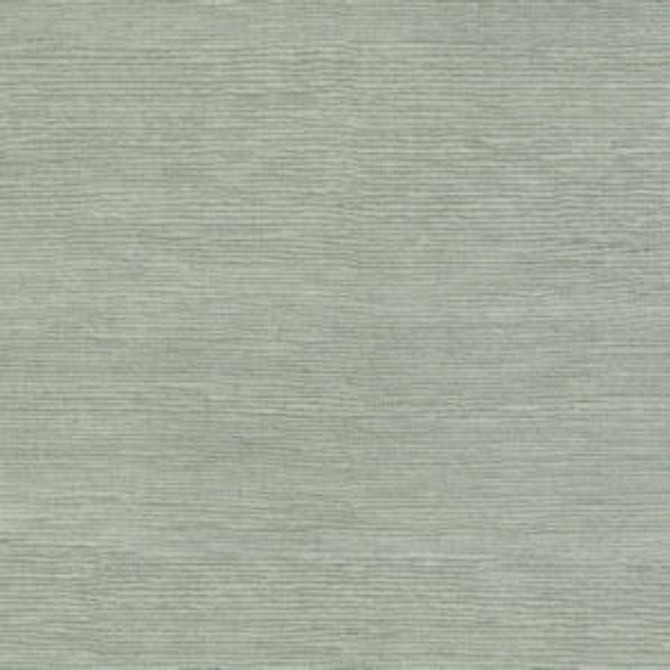 Famous Dove by Norbar Fabric FAMOUS 100% COTTON SPAIN 54 - Fabric Carolina -