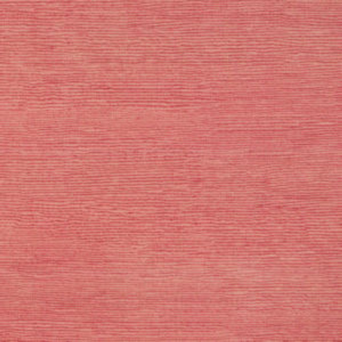 Famous Tulip by Norbar Fabric FAMOUS 100% COTTON SPAIN 54 - Fabric Carolina -