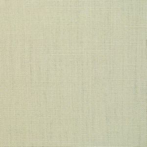 Frazzle Canvas by Norbar Fabric LINEN LAVISH 100% LINEN BRAZIL 55 - Fabric Carolina -