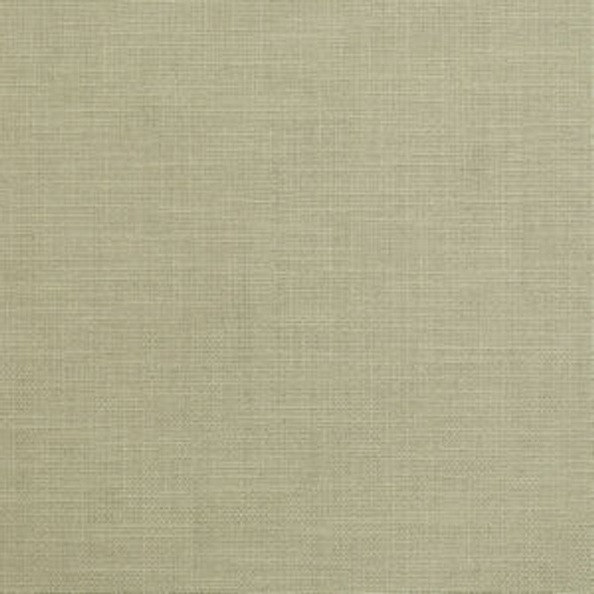 Lampoon Mushroom by Norbar Fabric LINEN LAVISH 68% LINEN 32% COTTON BRAZIL   55  - Fabric Carolina -