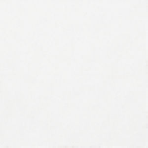 Oasis Coconut by Norbar Fabric OASIS 100% POLYESTER CHINA 57 - Fabric Carolina -