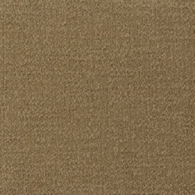 Prezzo Tussah 215 by Norbar Fabric PREZZO 100% POLYESTER INDIA 54 - Fabric Carolina -