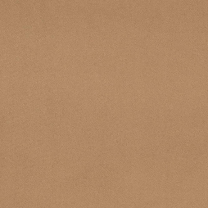 D4512 Fawn by Charlotte Fabric Sueded Velvet 100% Polyester, Fleece Backing Asia </p><p>Repeat: No Repeat 54 Inches - Fabric Carolina -