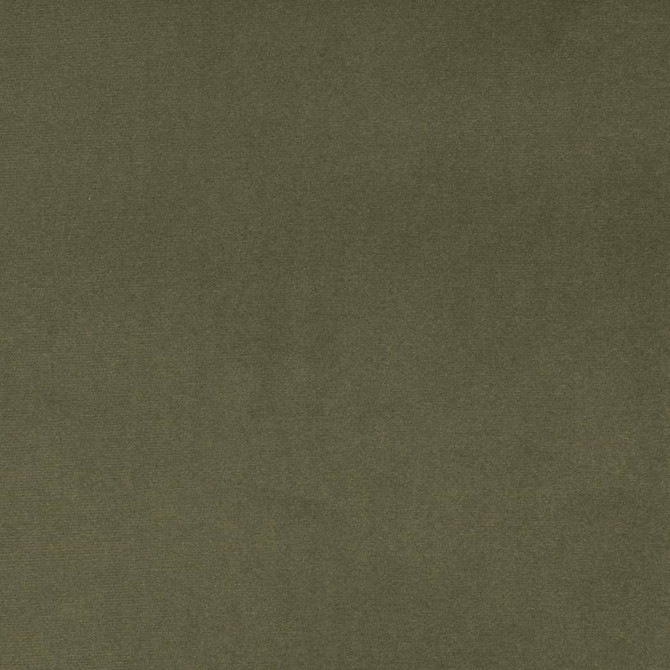 D4516 Dill by Charlotte Fabric Sueded Velvet 100% Polyester, Fleece Backing Asia </p><p>Repeat: No Repeat 54 Inches - Fabric Carolina -