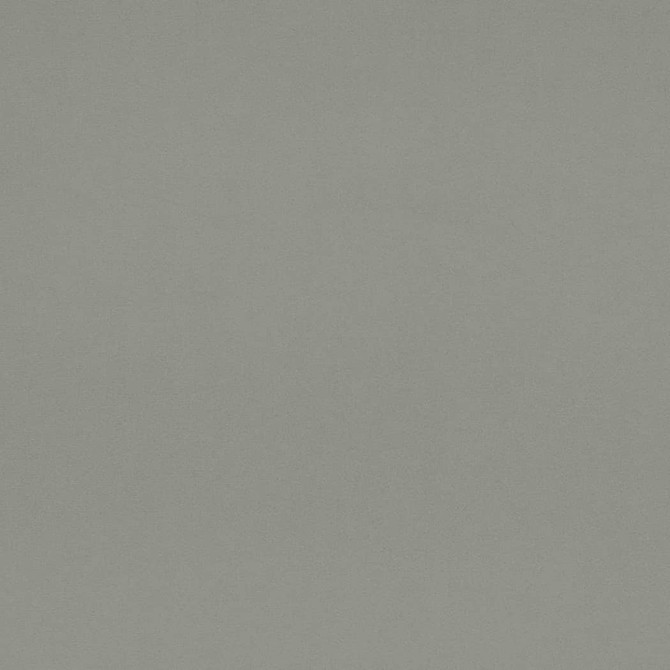 D4519 Chambray by Charlotte Fabric Sueded Velvet 100% Polyester, Fleece Backing Asia </p><p>Repeat: No Repeat 54 Inches - Fabric Carolina -