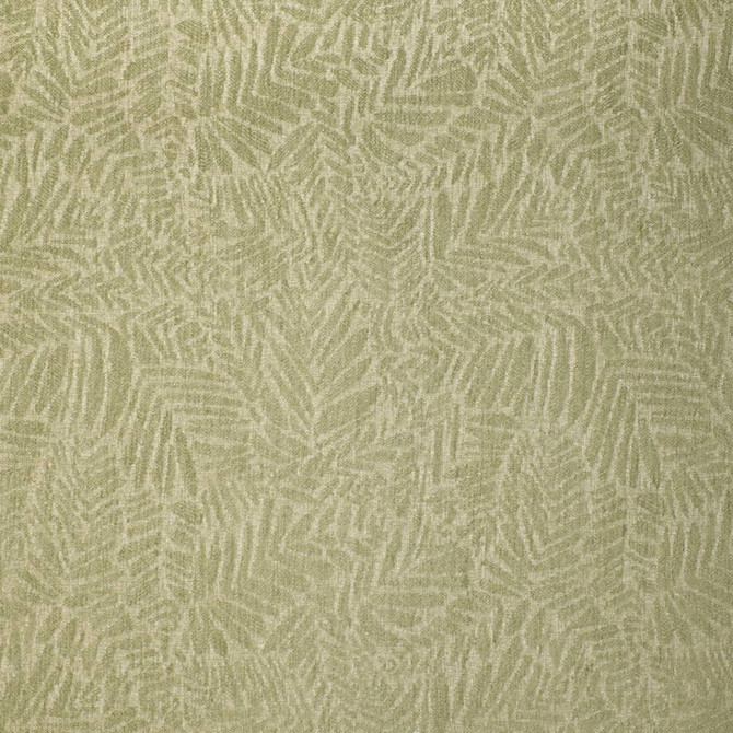 F300-283 by Charlotte Fabric Cypress 57% Polyester, 43% Olefin USA </p><p>Repeat: Horizontal 14" x Vertical 14.5" 54 Inches - Fabric Carolina -