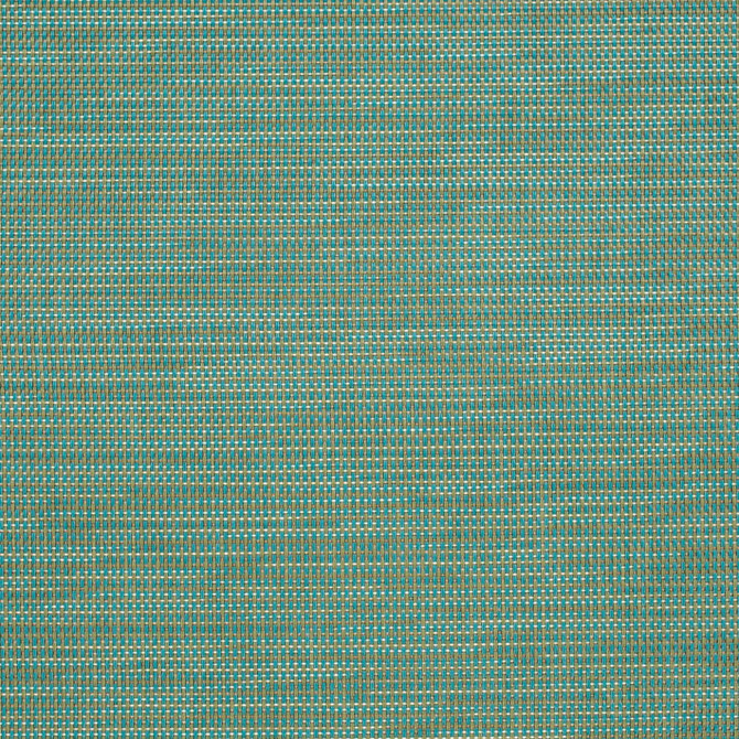 S303 Capri by Charlotte Fabric Sling II 100% Coated Polyester USA </p><p>Repeat: 54 Inches - Fabric Carolina -