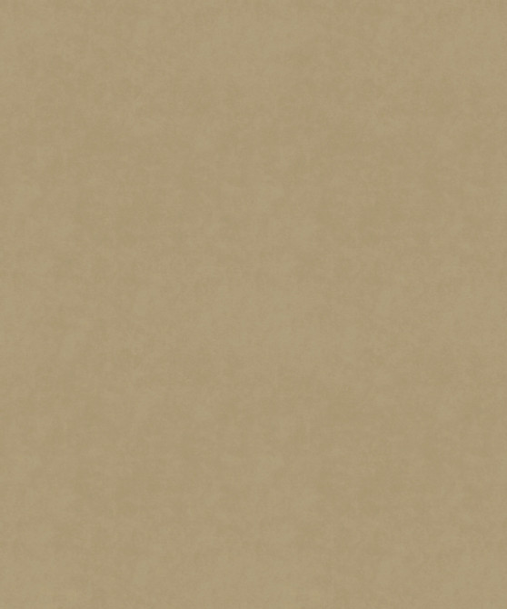 M9989 51101 by Barrow  Fabric Barrow Gallery 100% Polyester Knit Pile Fabric China 30,000 Double Rubs </p><p>Repeat: Horizontal:  and Vertical:  57"  - Fabric Carolina -