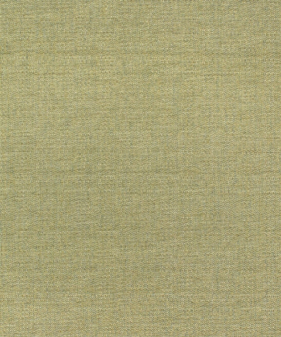 M9889 52105 by Barrow  Fabric Barrow Gallery 62% Polyester (S), 38% Polyester (F) China 75,000 Double Rubs </p><p>Repeat: Horizontal:  and Vertical:  57"  - Fabric Carolina -