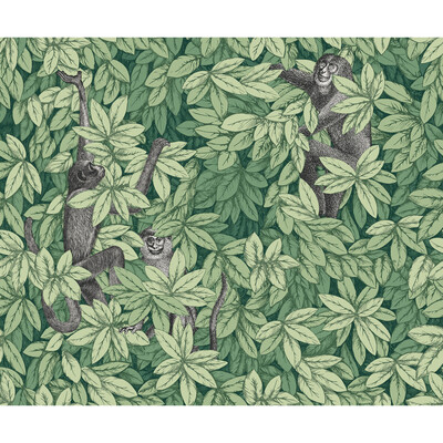 Cole & Son Wallcovering 123/10049.CS.0 Wallcovering NON WOVEN - 100% United Kingdom </p><p>Repeat: H: , V: 27.5 21 - My Fabric Connection -
