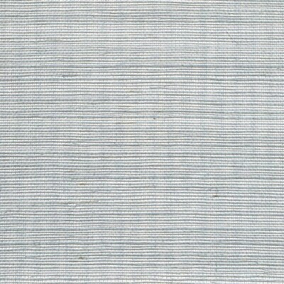 Winfield Thybony Wallcovering WDW2405P.WT.0 Wallcovering SISAL - 100% United States </p><p>Repeat: H: , V: 27.5 21 - My Fabric Connection -